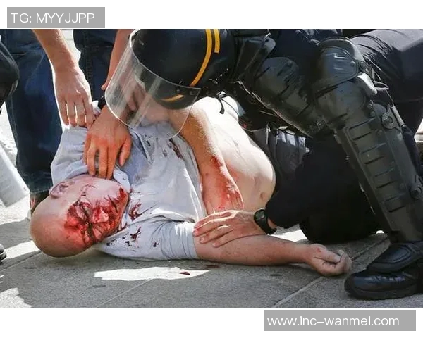 足球流氓暴力冲突引发社会关注球迷文化亟待反思与改善